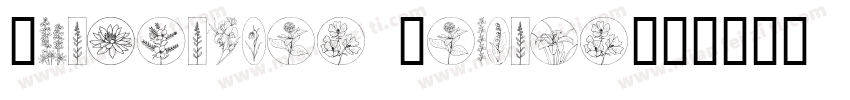 Wildflower Regular字体转换